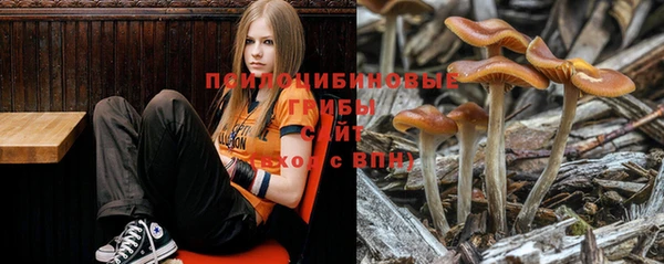 хмурый Абдулино