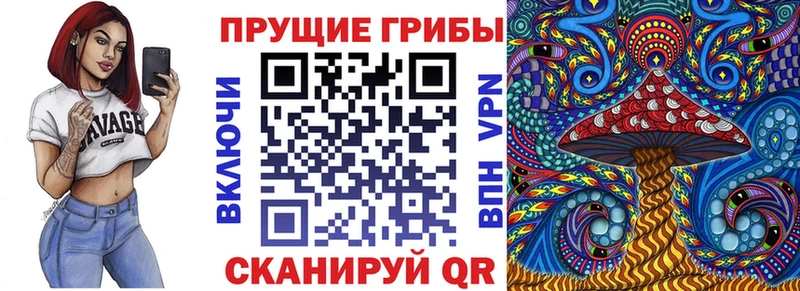 Псилоцибиновые грибы мицелий  маркетплейс формула  Ак-Довурак 